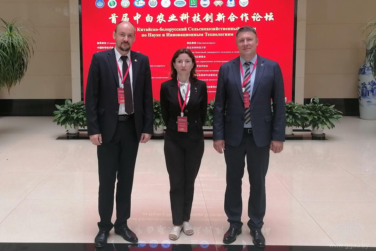 I Китайско-Белорусский Сельскохозяйственный Форум по Науке и Инновационным Технологиям