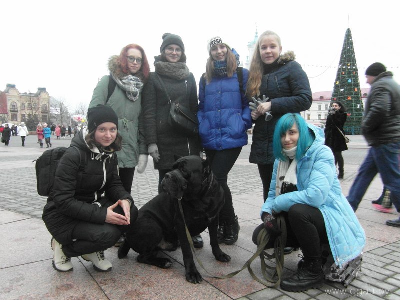 Волонтеры отряда «Велес» УО «ГГАУ» приняли участие в благотворительном марафоне в поддержку бездомных животных