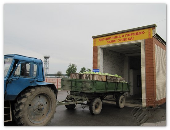 Трактар з прычэпам са свежай капустай і транспарант, вельмі характэрны для часоў, калі мы будавалі камунізм 
