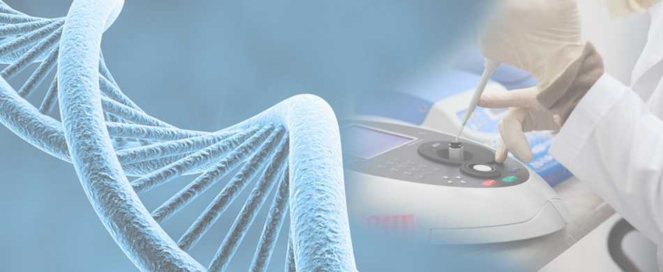 Отраслевая научно-исследовательская лаборатория «ДНК-технологий»