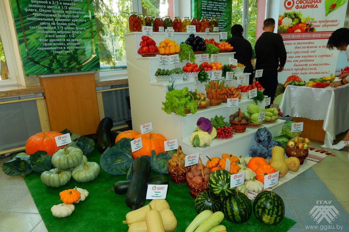 Выстава прадукцыі Гродзенскай агародніннай фабрыкі 
