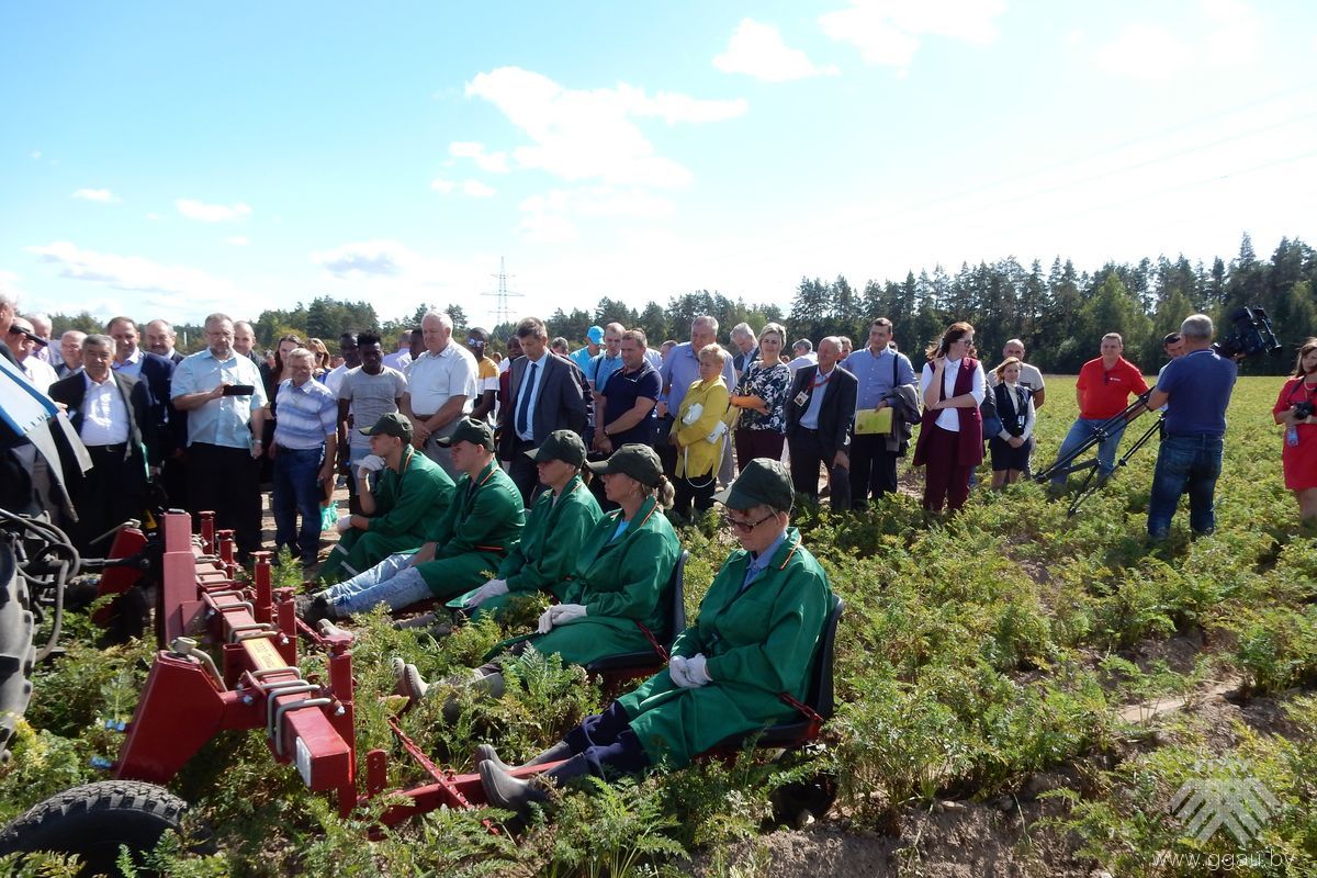 Дэманстрацыя тэхнікі для праполкі пустазелля ў вузкапрофільных градах
