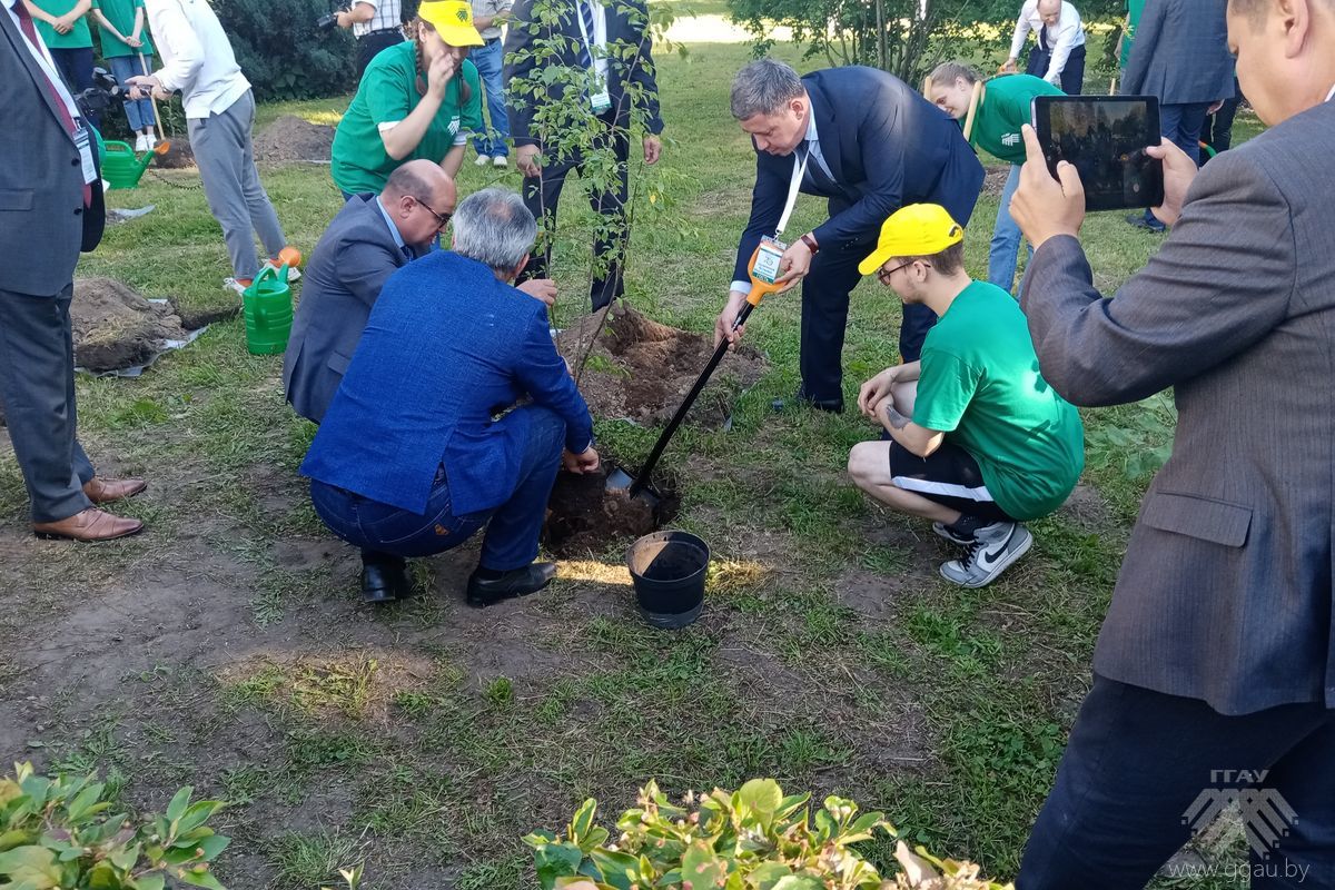 Гости из Республики Узбекистан приняли участие в закладке аллеи