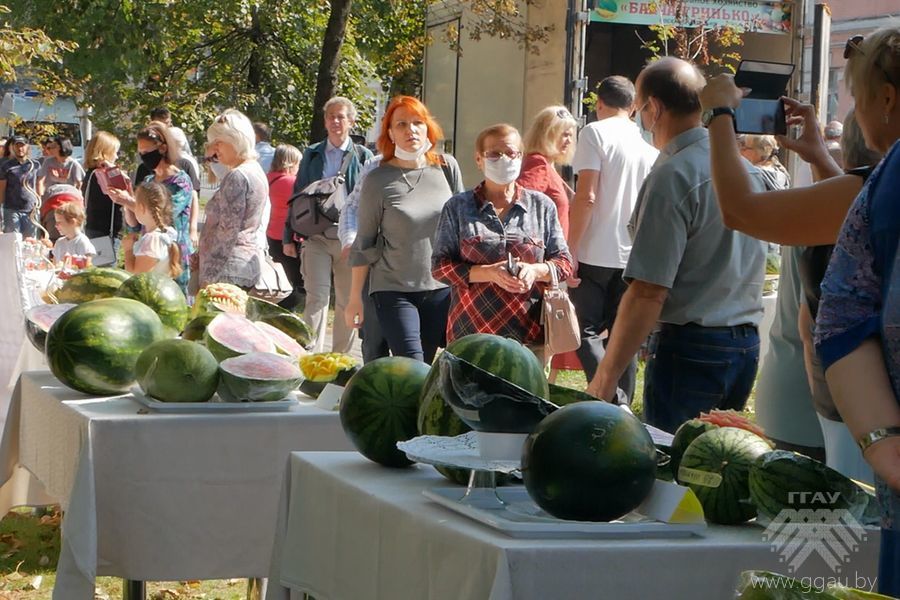 Посетители первого республиканского фестиваля в г. Гомеле
