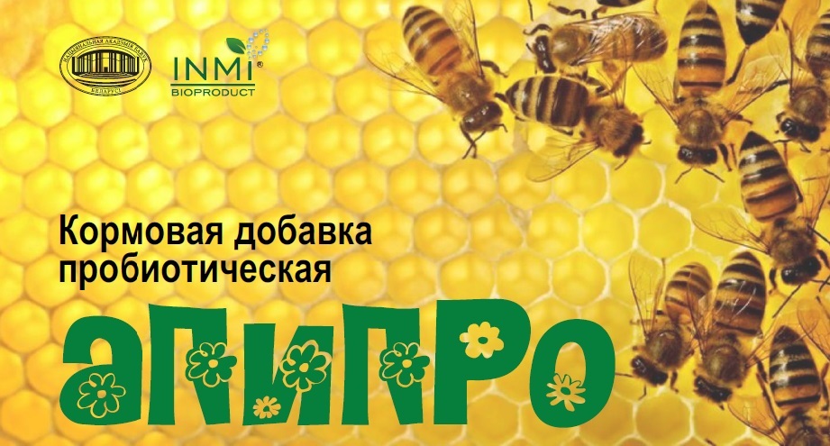 Кормовая добавка пробиотическая для пчел АПИПРО
