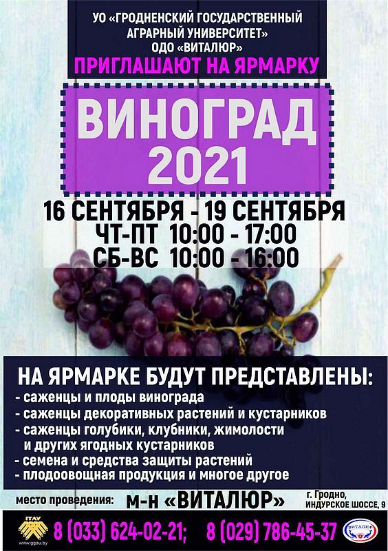 Приглашаем всех на ярмарку "Виноград-2021"