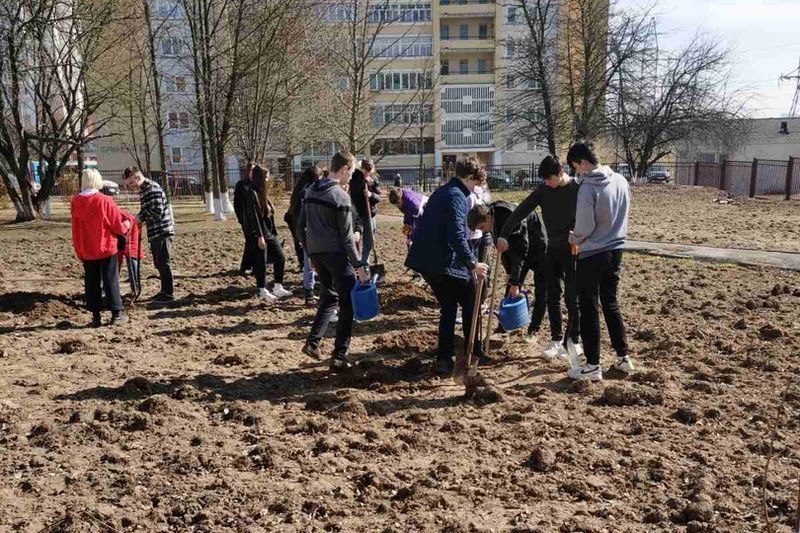Сотрудничество со школами в рамках акции «Сад надежды»