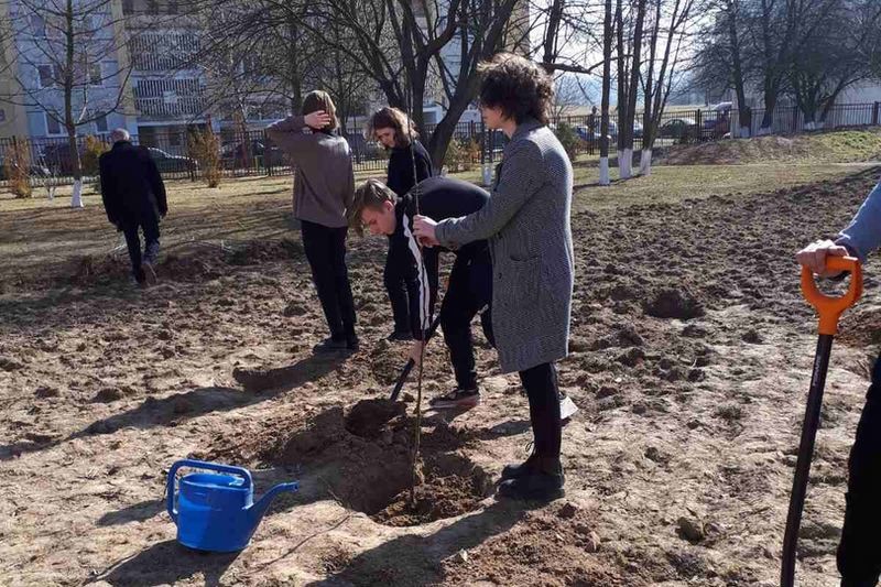 Сотрудничество со школами в рамках акции «Сад надежды»
