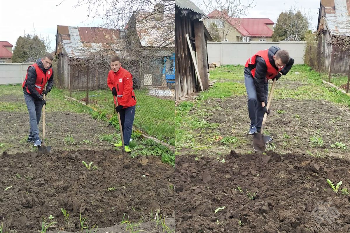 Маленькой помощи не бывает