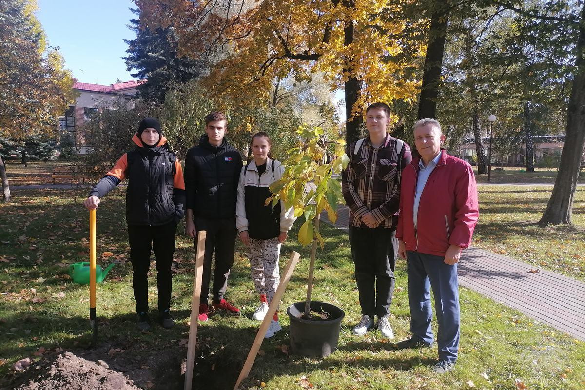 Першакурснікі аграфаку з выбраным для пассадкі дрэвам
