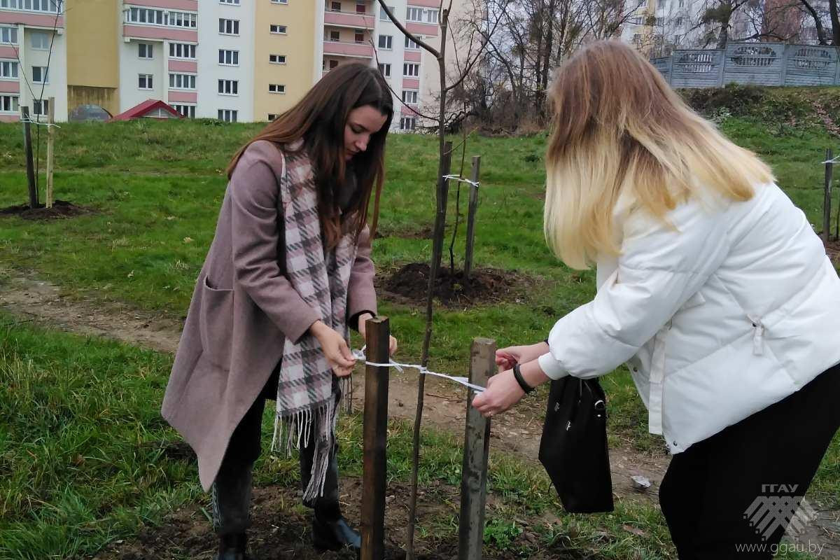 Благоустройство и озеленение г. Гродно