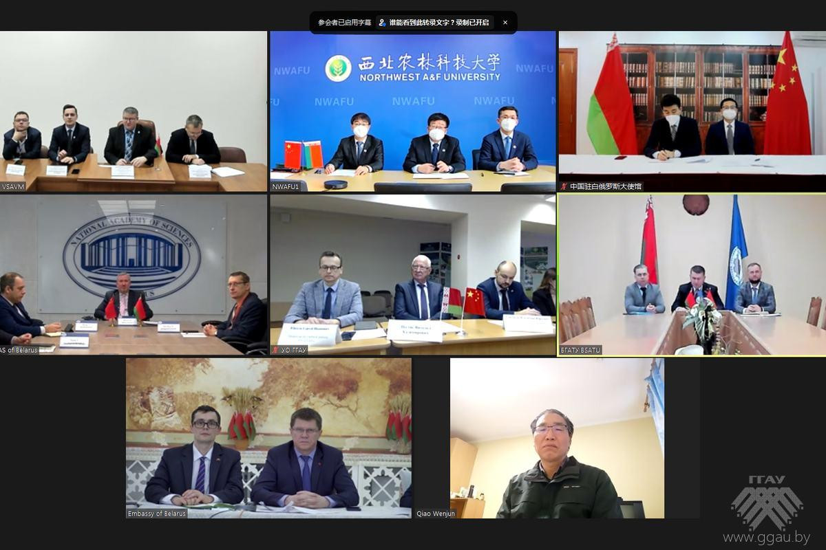 Встреча в формате онлайн с представителями Северо-Западного университета сельского и лесного хозяйства (провинция КНР - Шэньси)