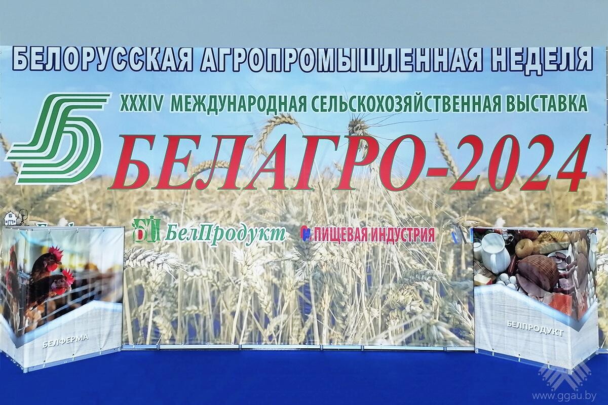 Белагро-2024
