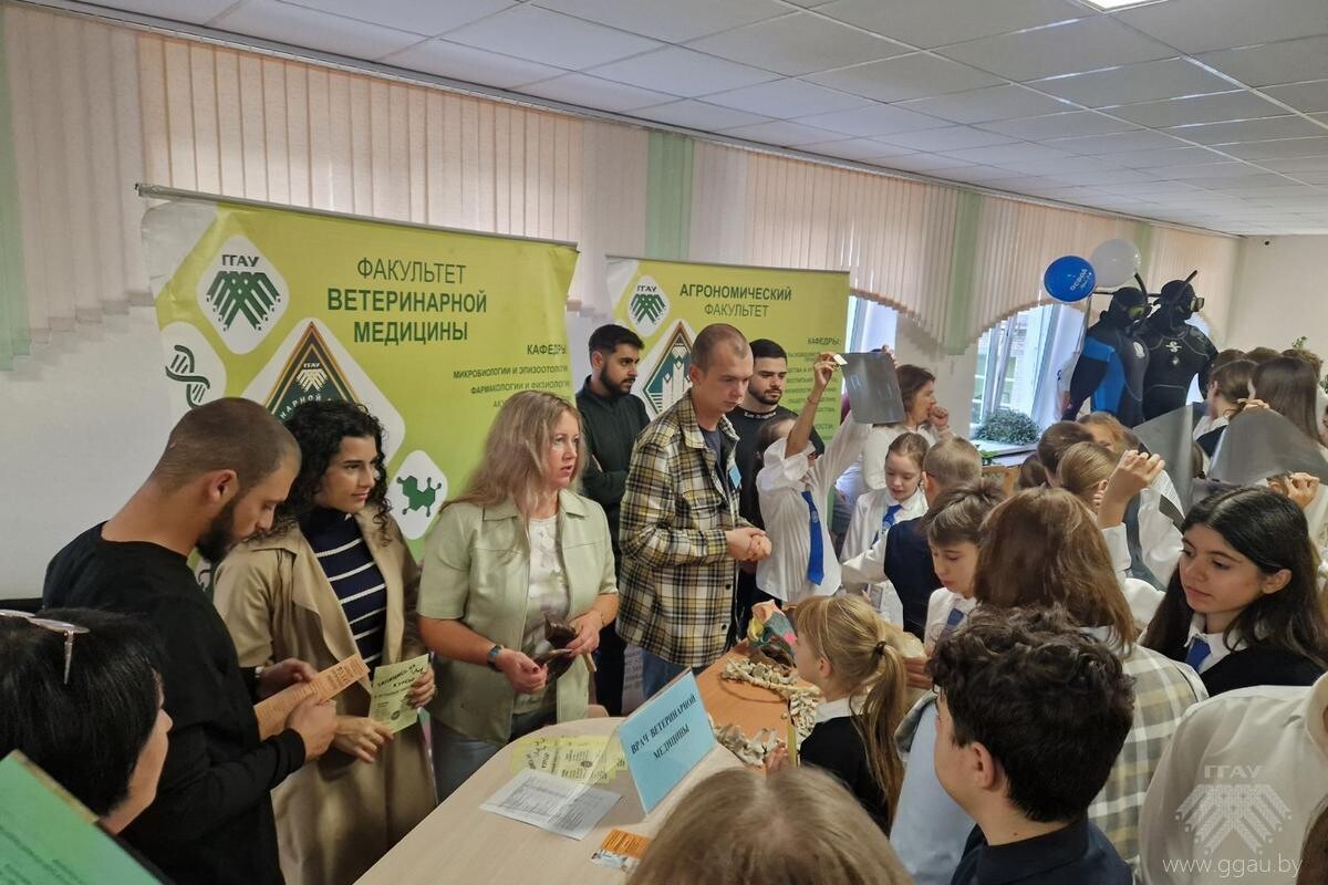 Квест «Здоровый Гродно»