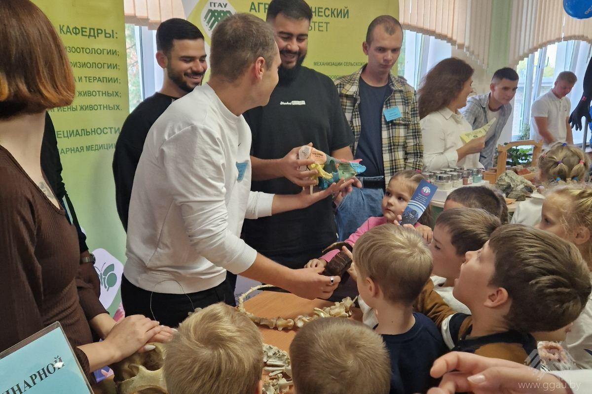 Квест «Здоровый Гродно»
