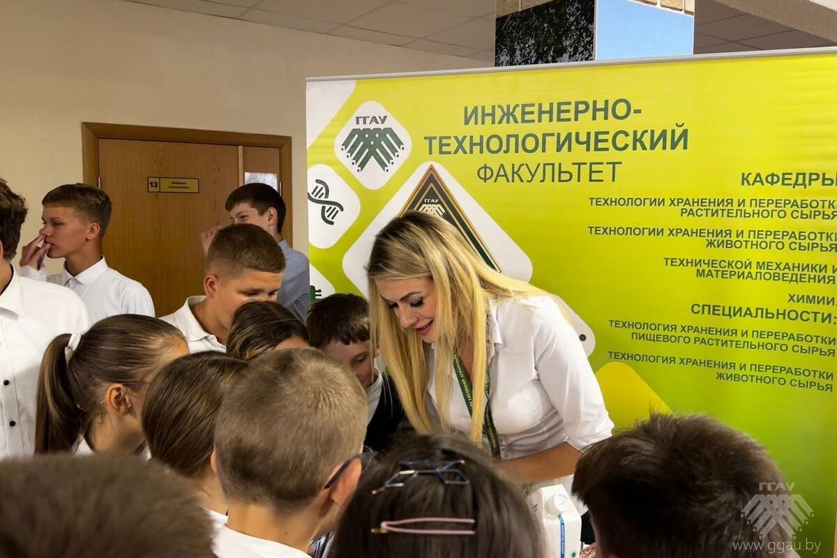 Квест «Здоровый Гродно»