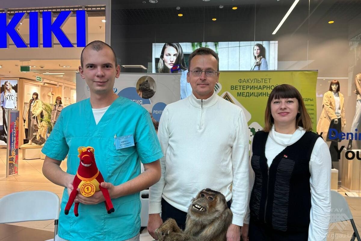 Фестиваль профессий