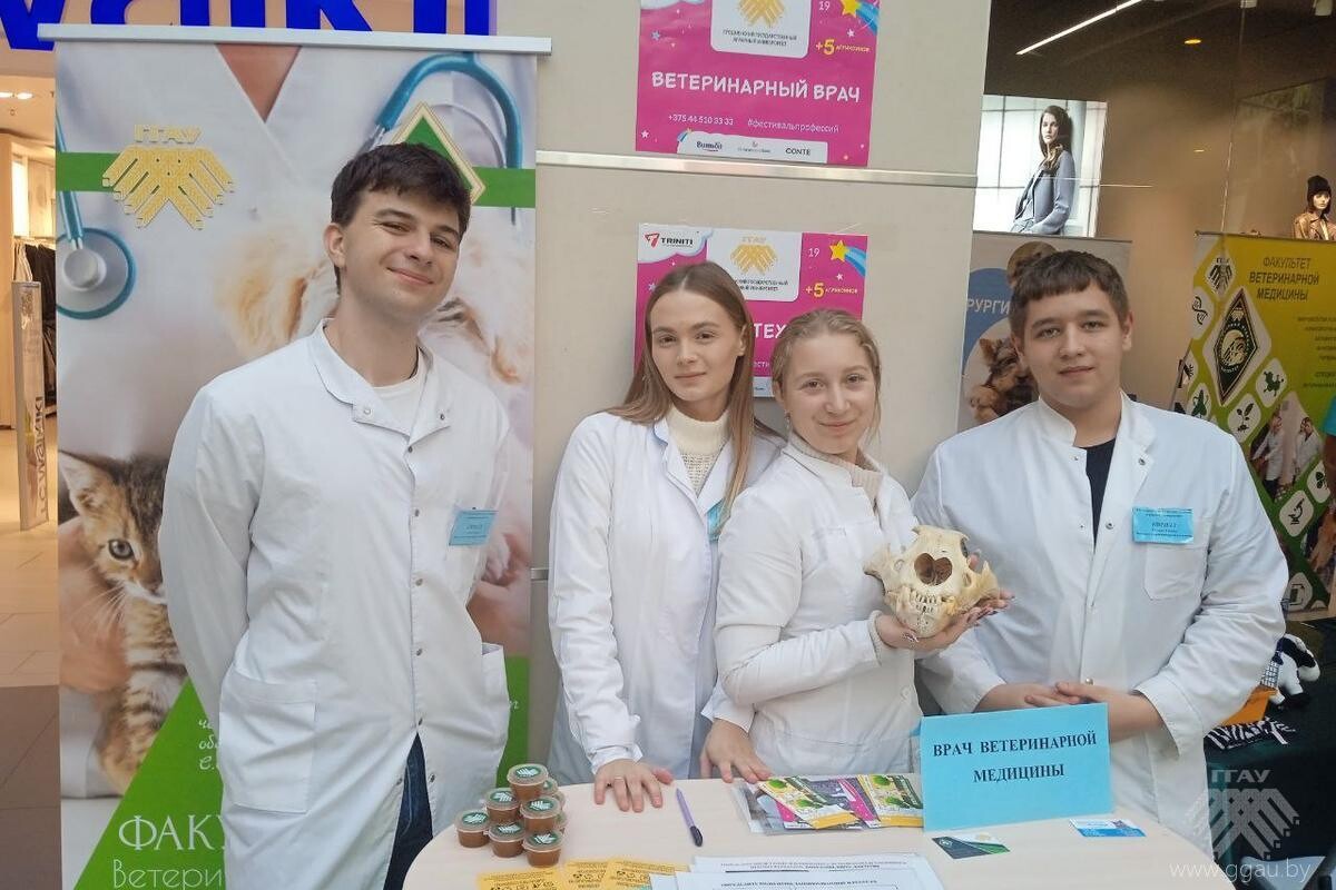 Фестиваль профессий