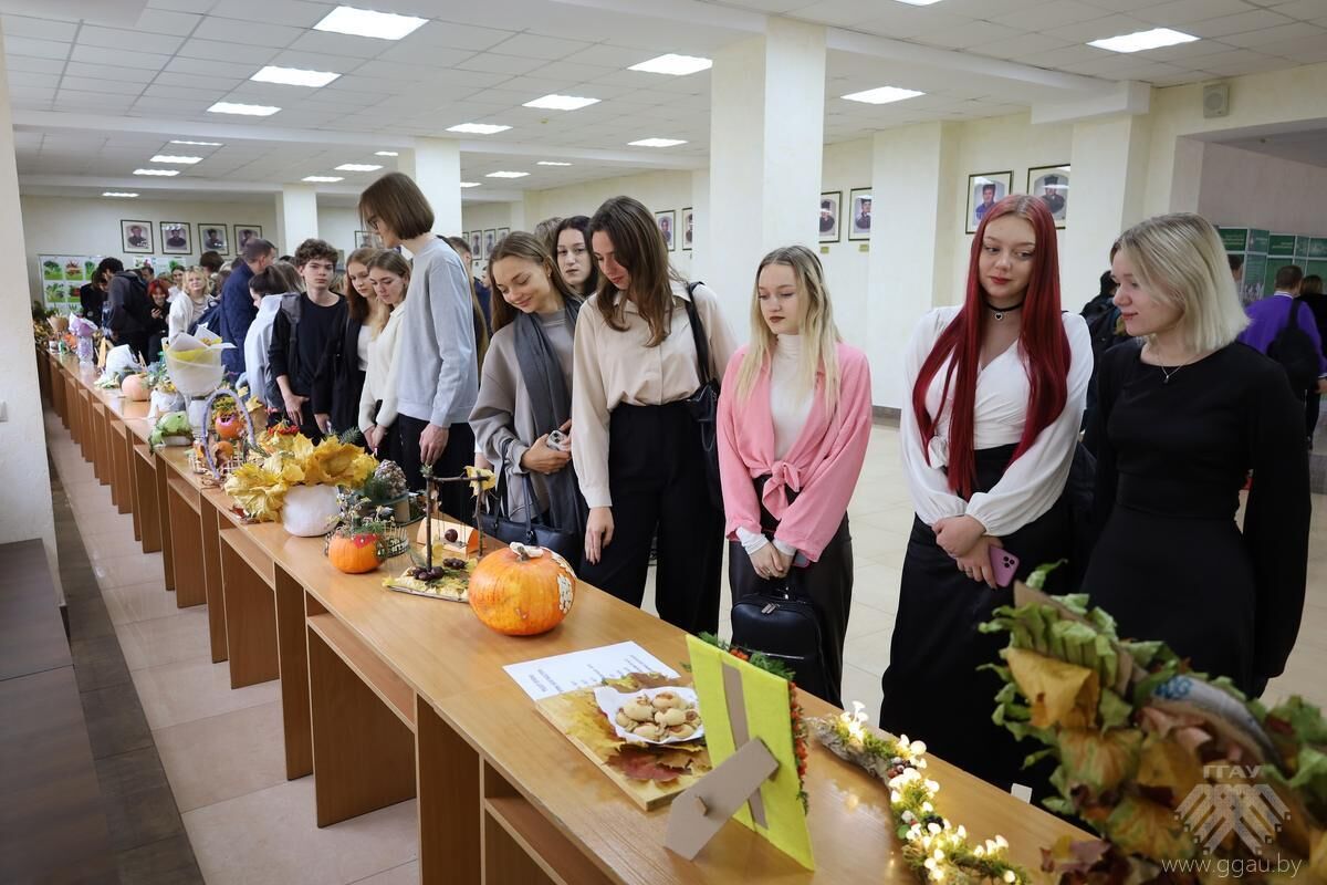 Овощи - основа здорового питания и активного долголетия