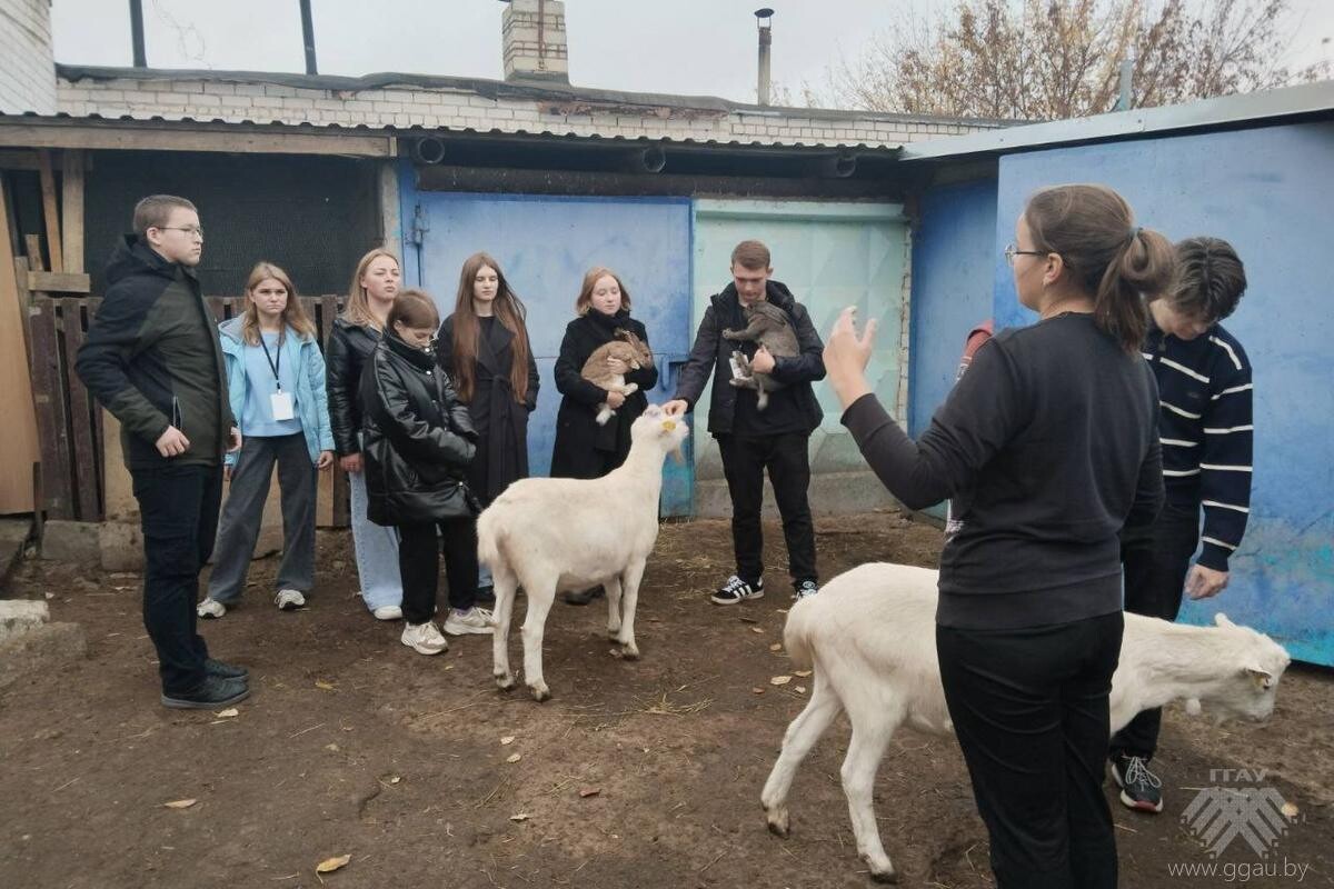 День ФВМ в рамках профориентационной недели