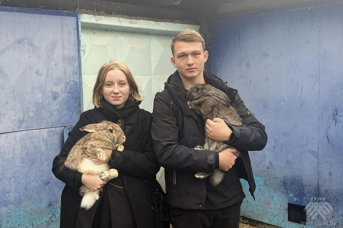 День ФВМ в рамках профориентационной недели