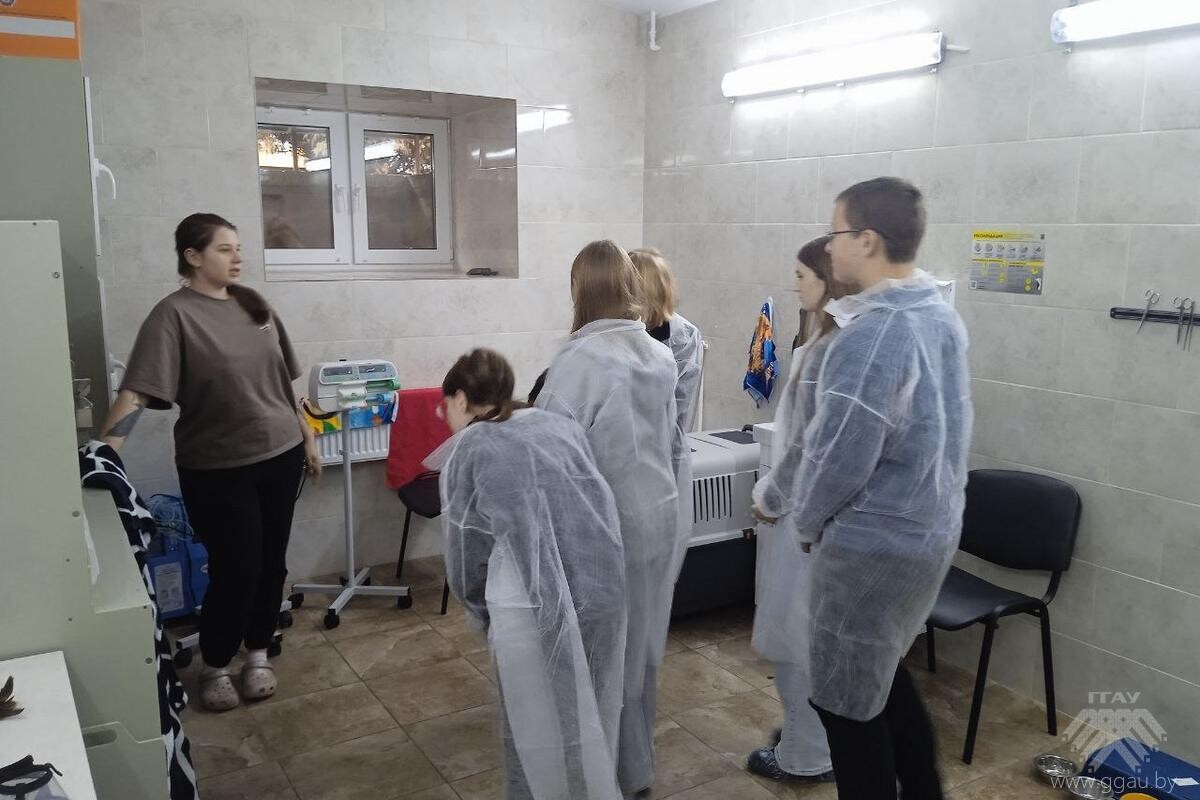 День ФВМ в рамках профориентационной недели