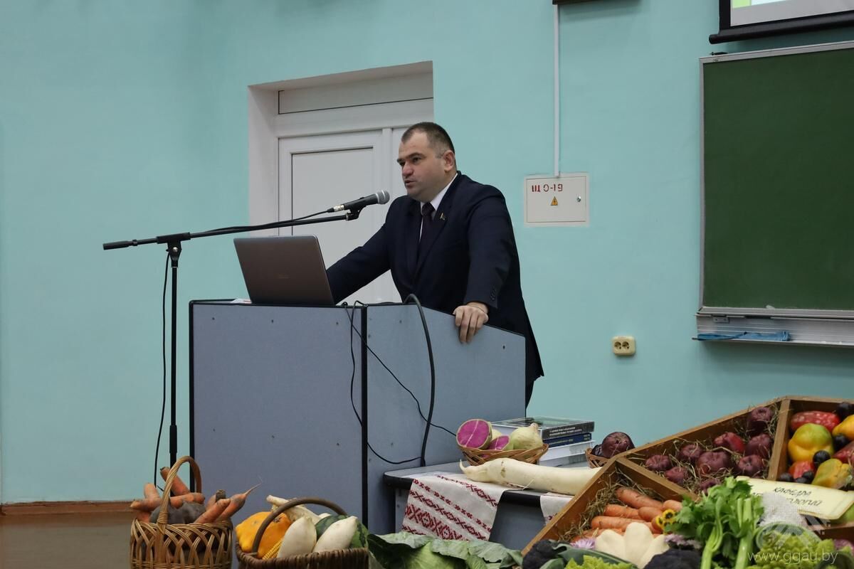 Овощи - основа здорового питания и активного долголетия
