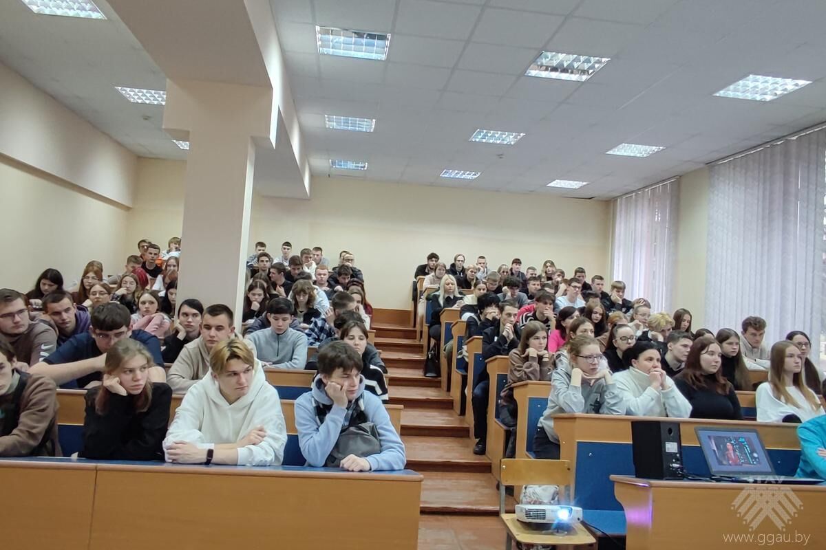 img 20241205 122911