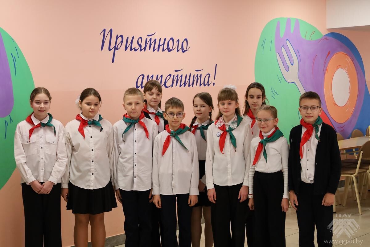 Овощи – источник здоровья и долголетия