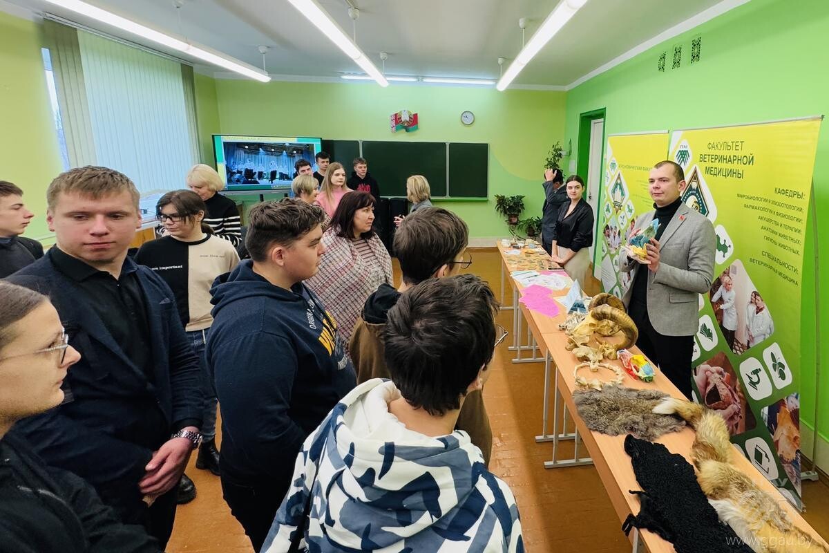 Ярмарка профессий и целевой подготовки в городе Зельва