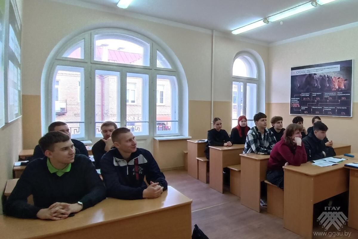День Конституции Республики Беларусь