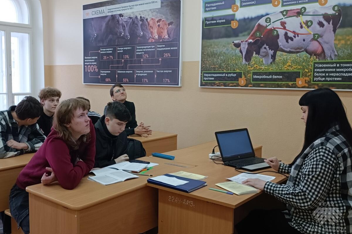 День Конституции Республики Беларусь