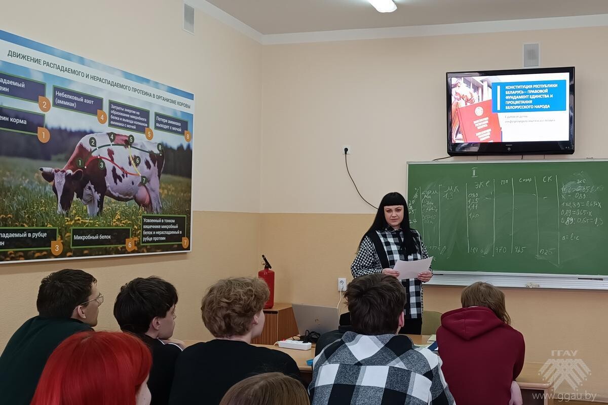 День Конституции Республики Беларусь