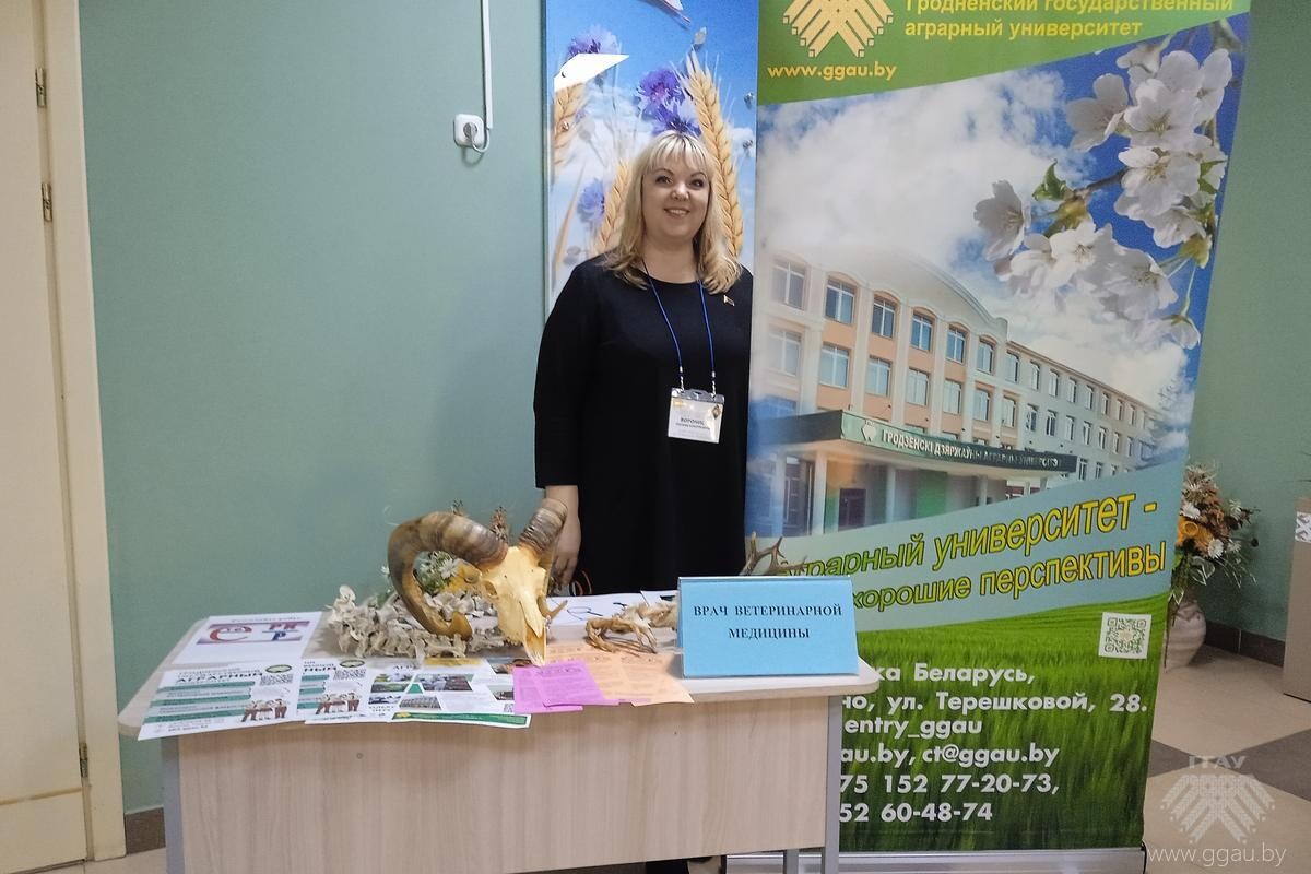 Профориентационная встреча