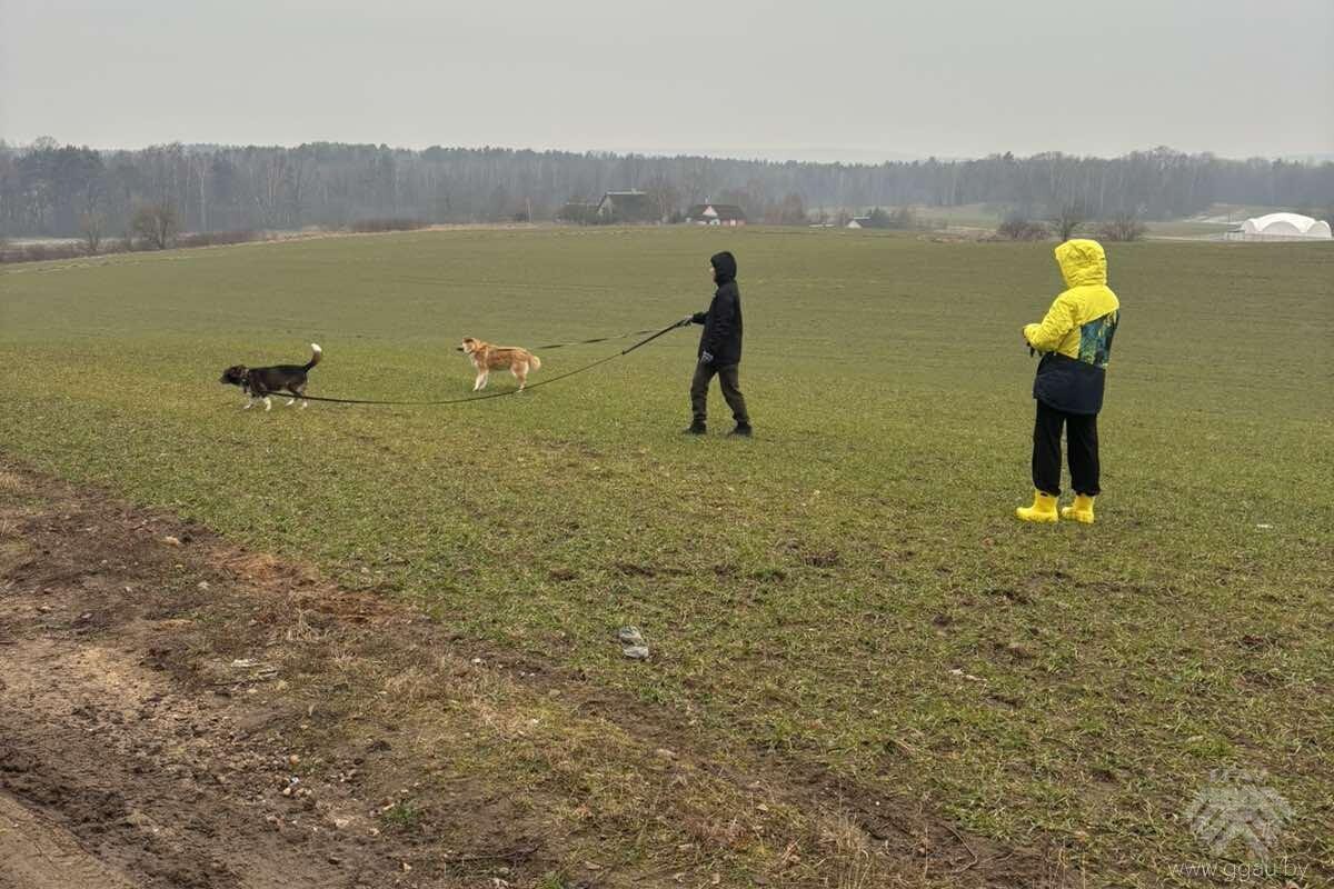Меняй мир с нами