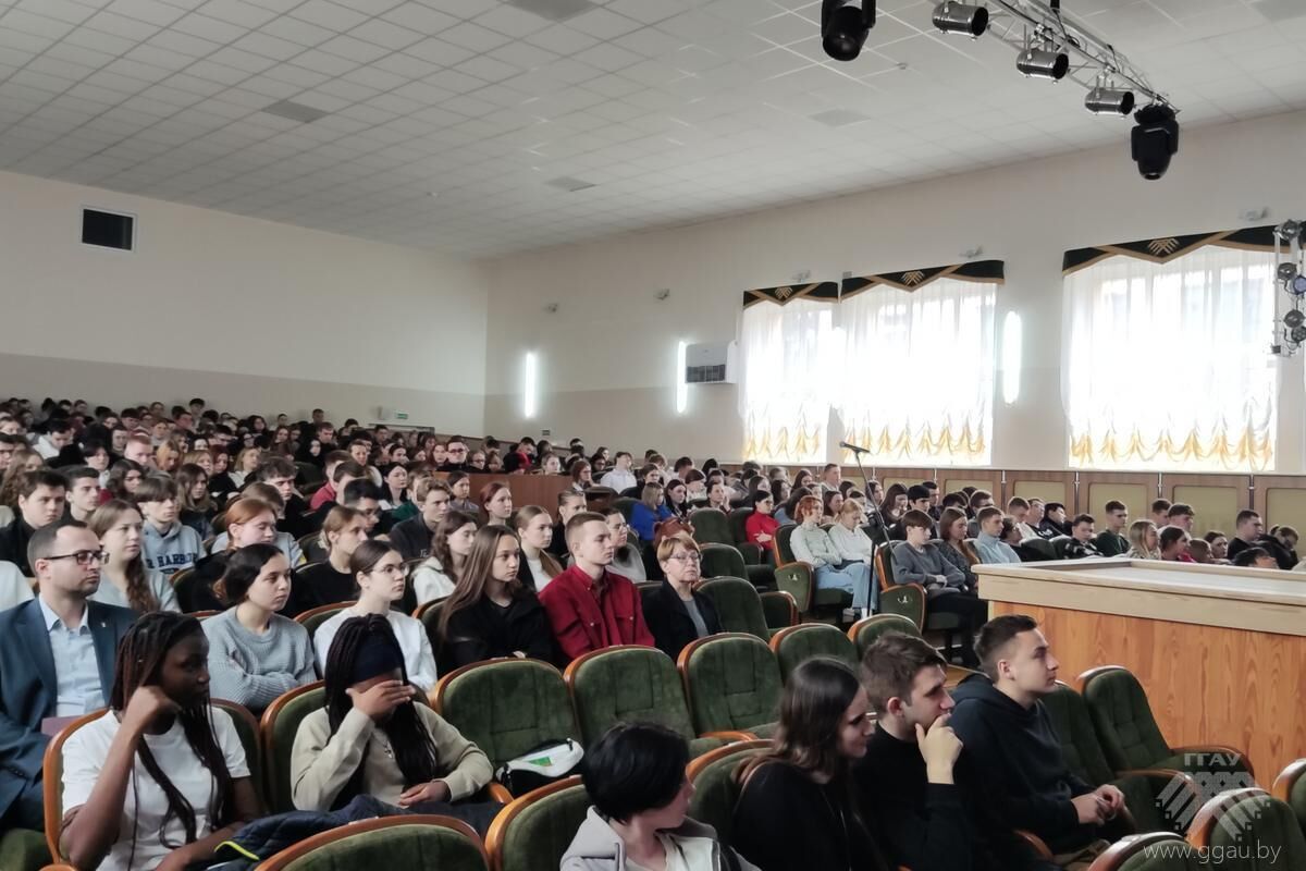 img 20250326 135312