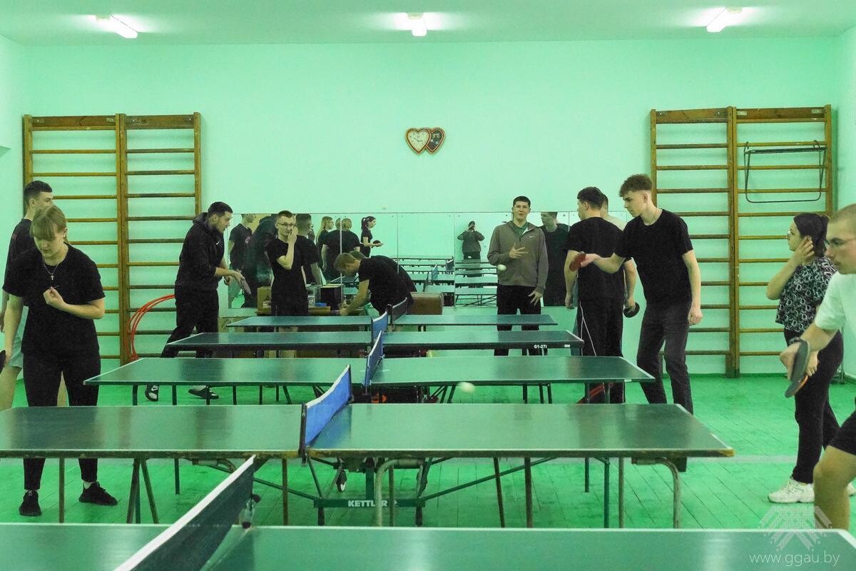 Турнир по настольному теннису