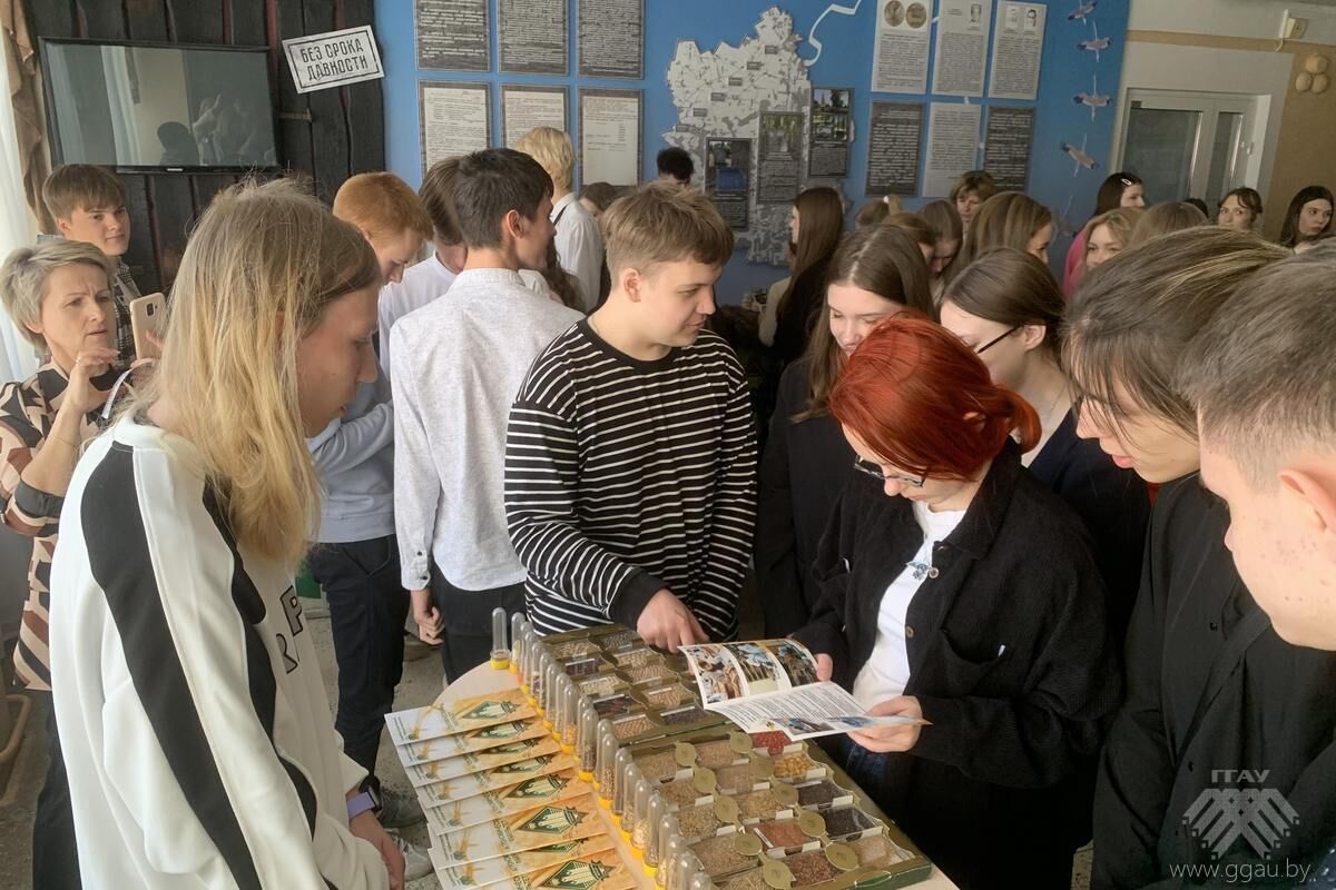 Профориентационная работа в городе Волковыск