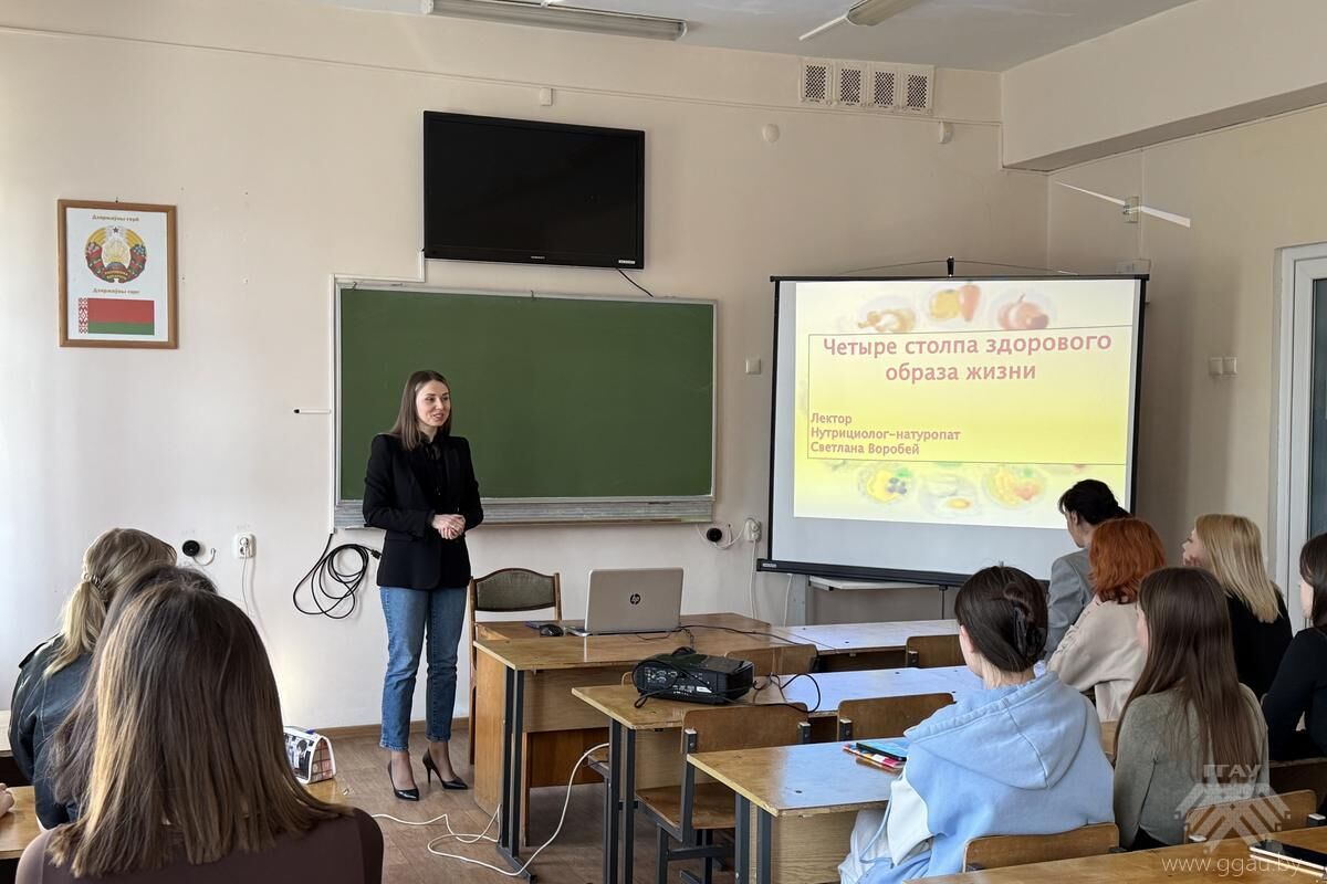 Четыре столпа здорового образа жизни