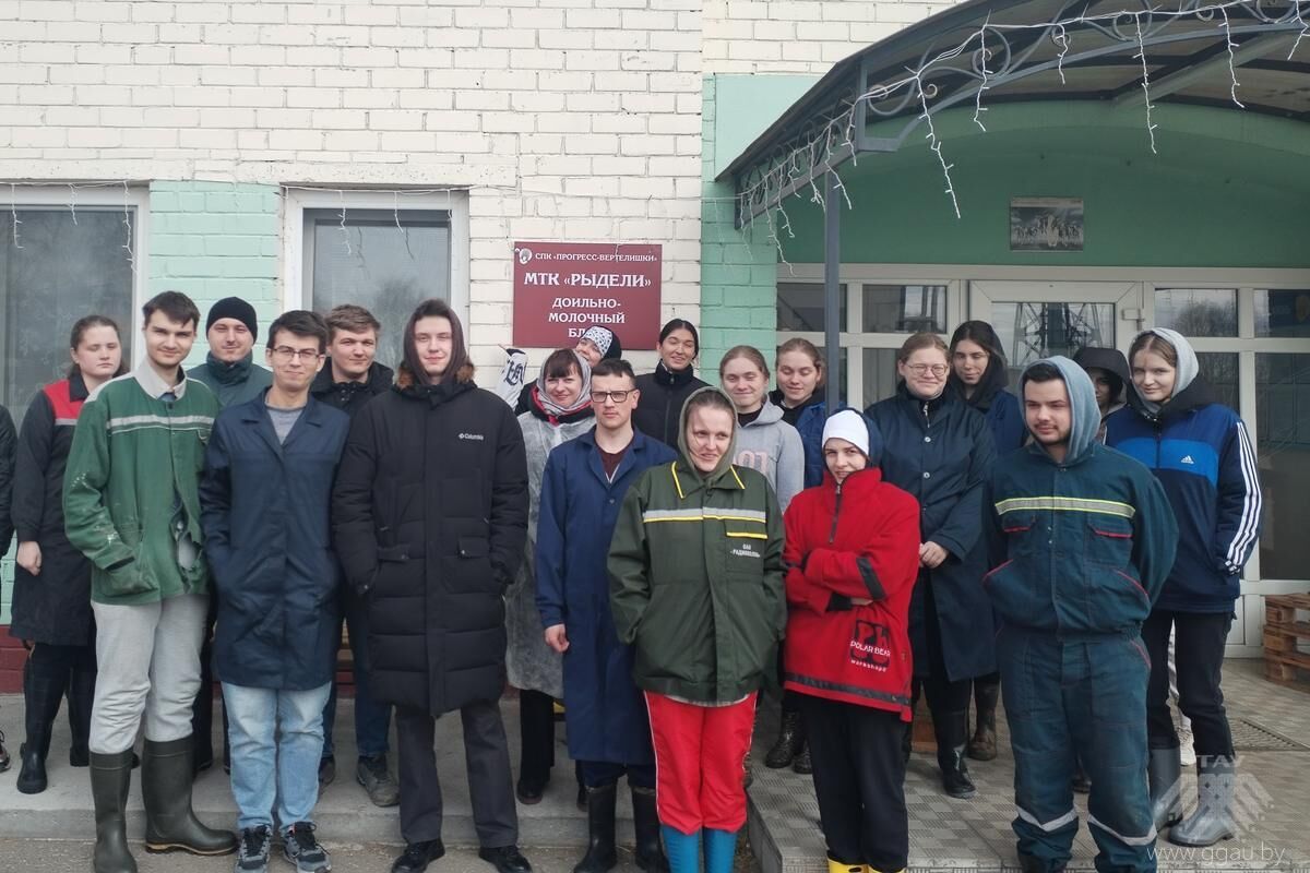 Практические занятия у студентов 4 курса ФВМ