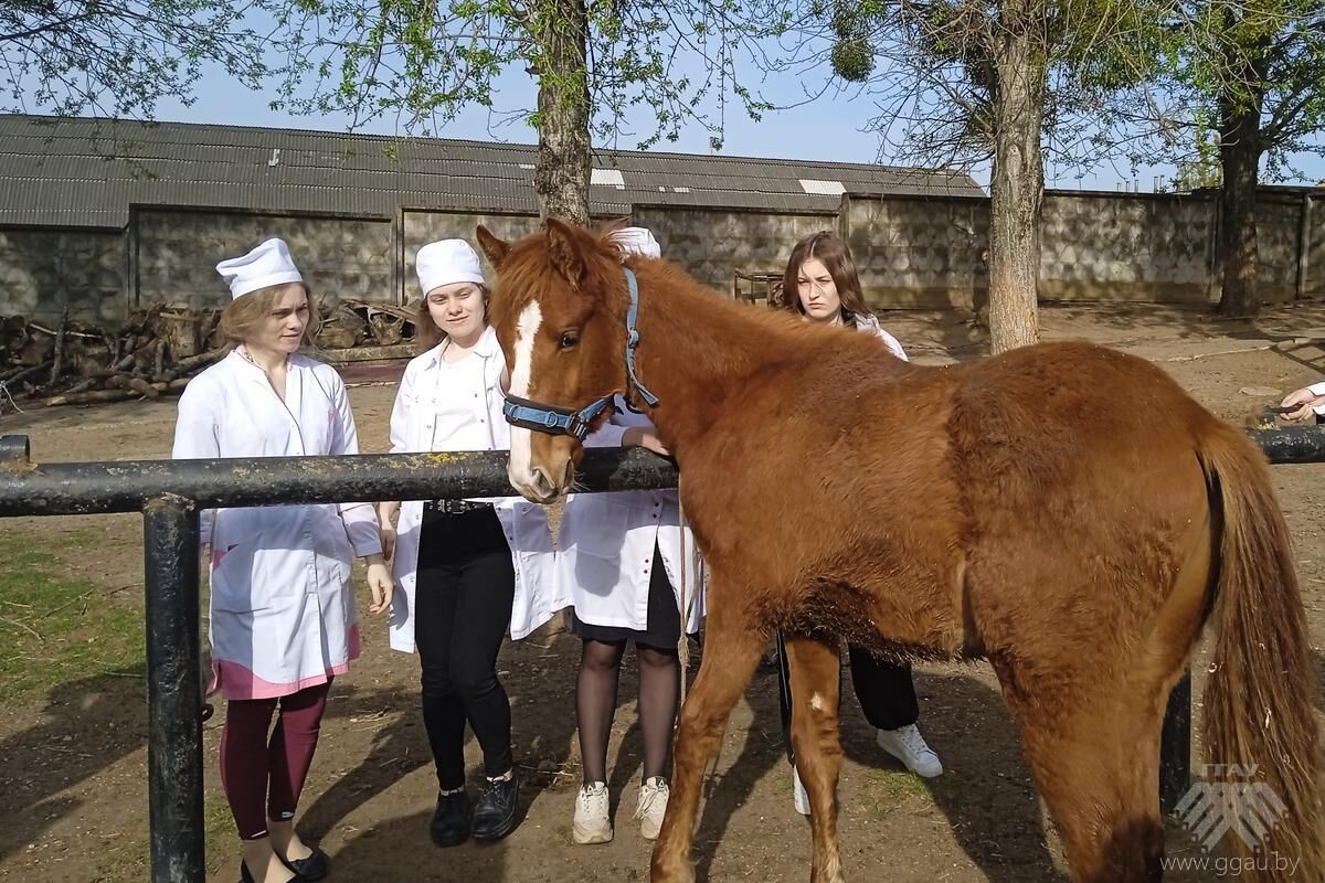Незабываемый практический опыт