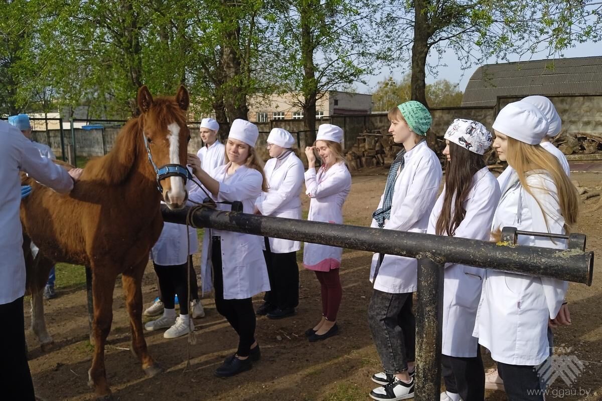 Незабываемый практический опыт