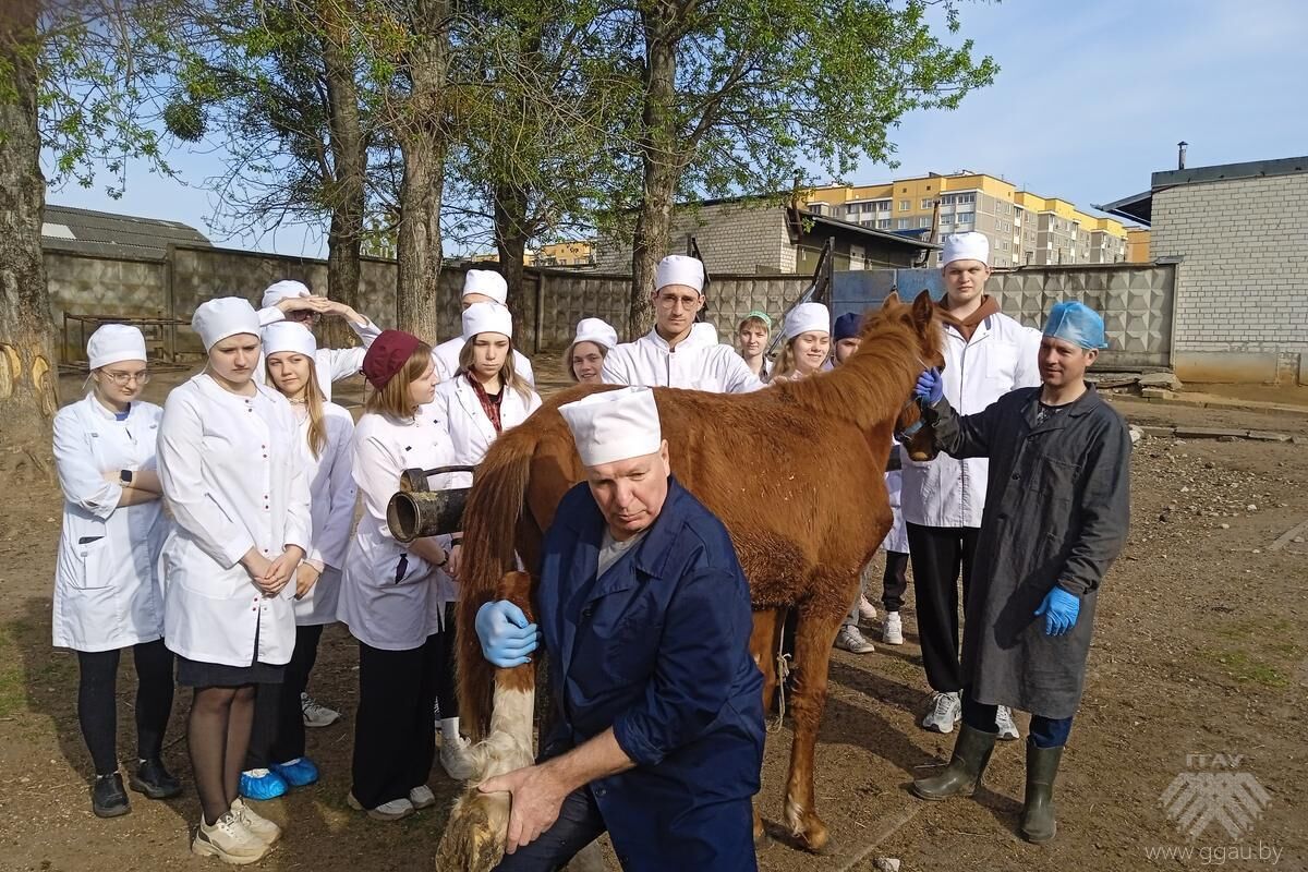 Незабываемый практический опыт
