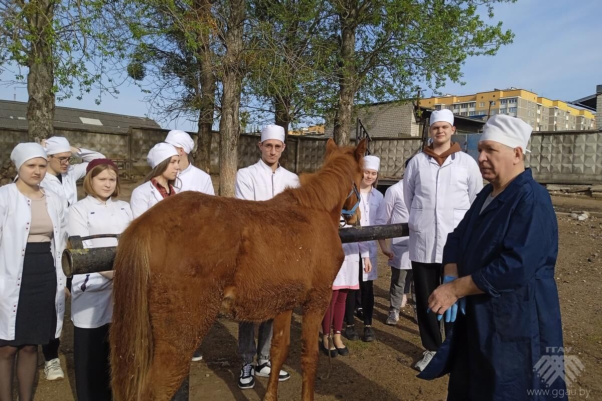 Незабываемый практический опыт