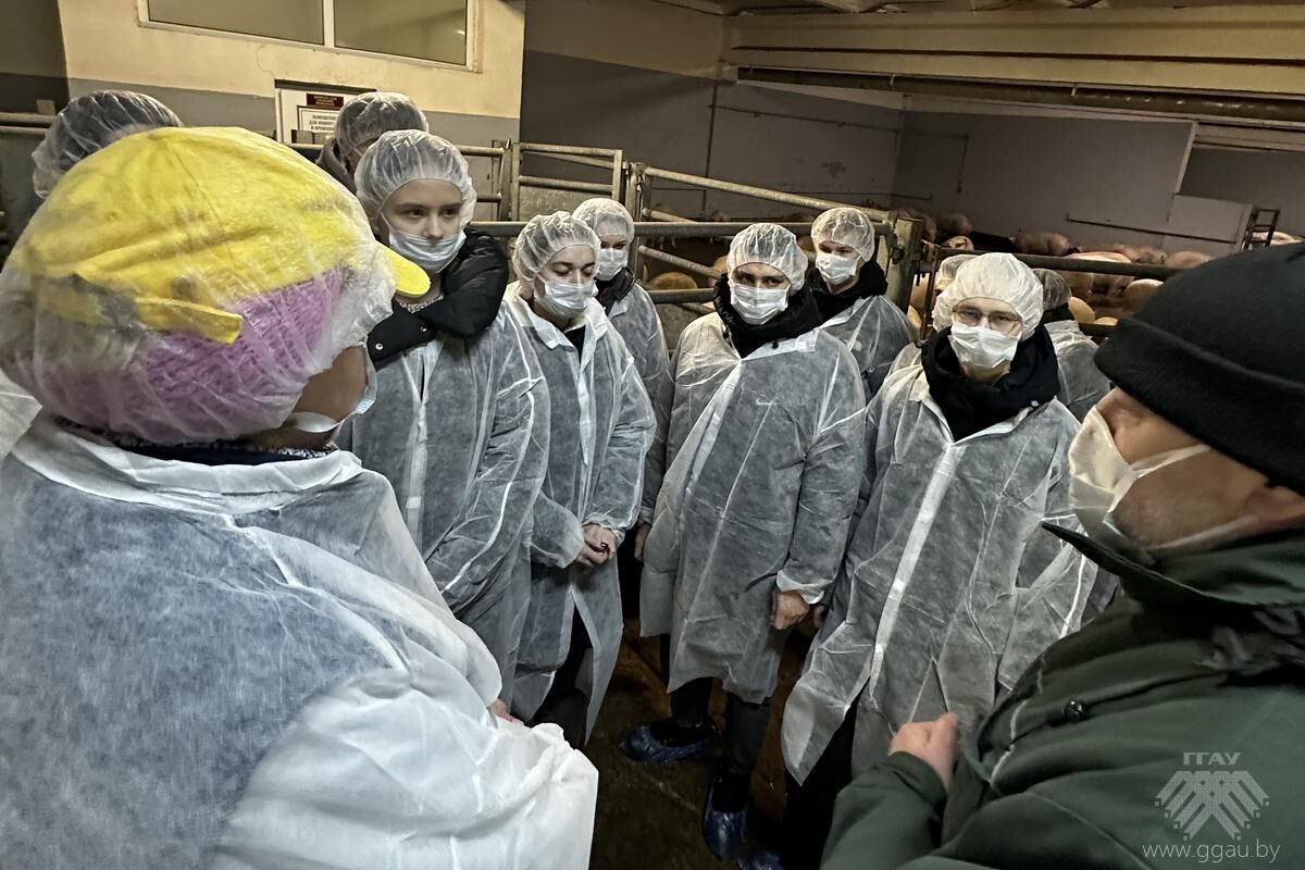 Практико-ориентированный подход к обучению студентов ИТФ на ОАО «Гродненский мясокомбинат»