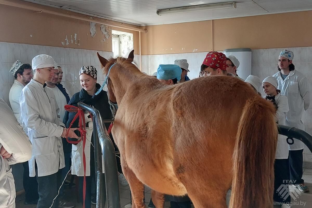 До свидания, Азгард