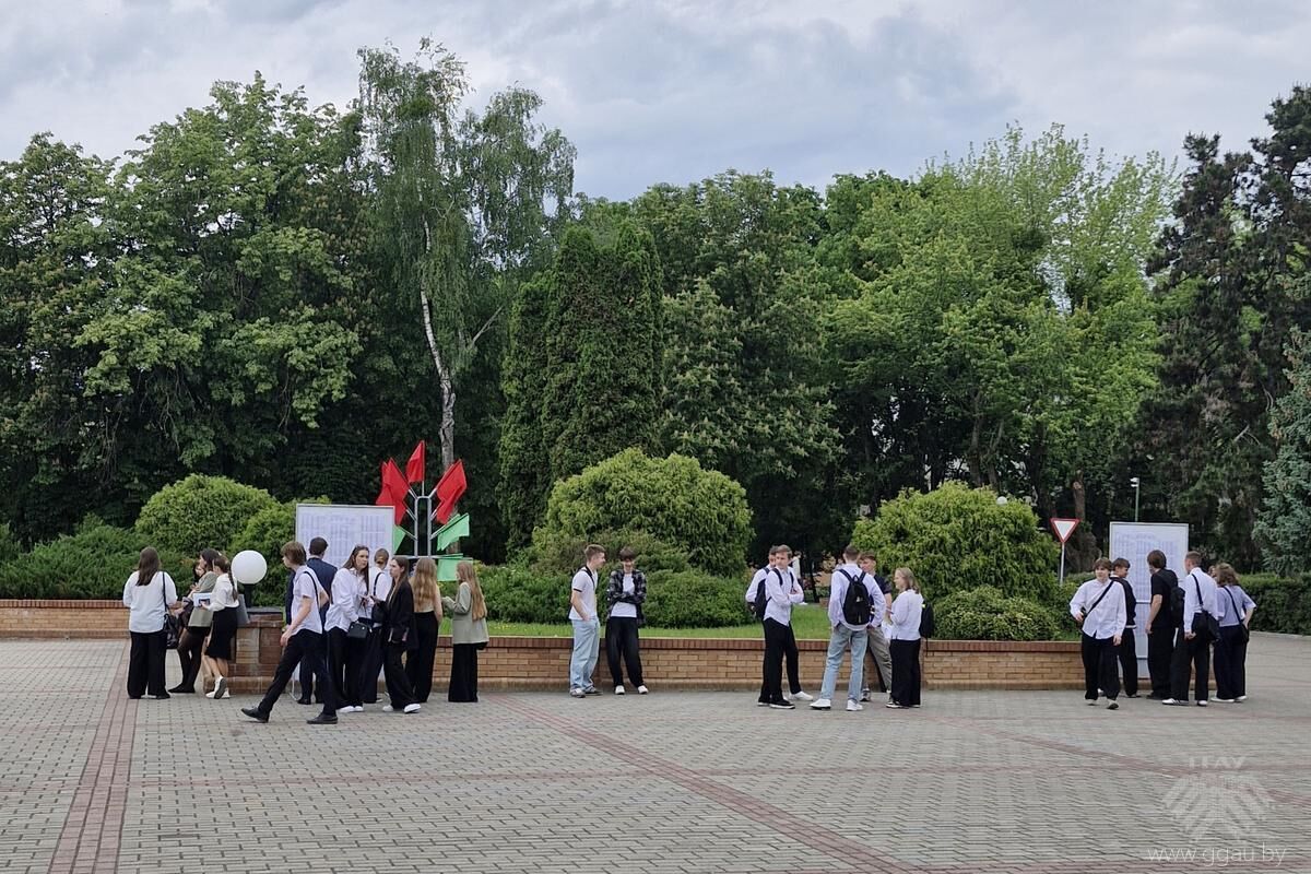 Централизованное тестирование