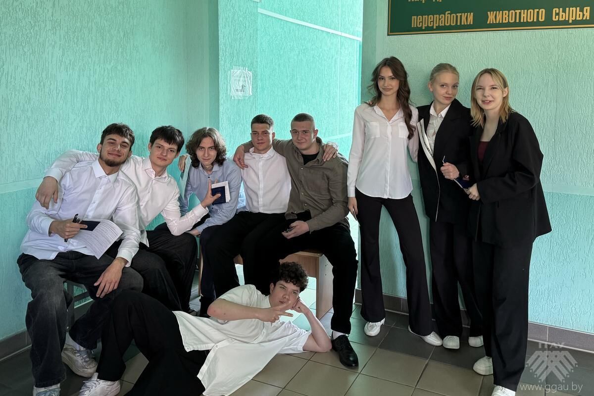 Централизованное тестирование