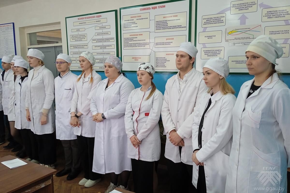 На факультете ветеринарной медицины началась пора сдачи государственных экзаменов