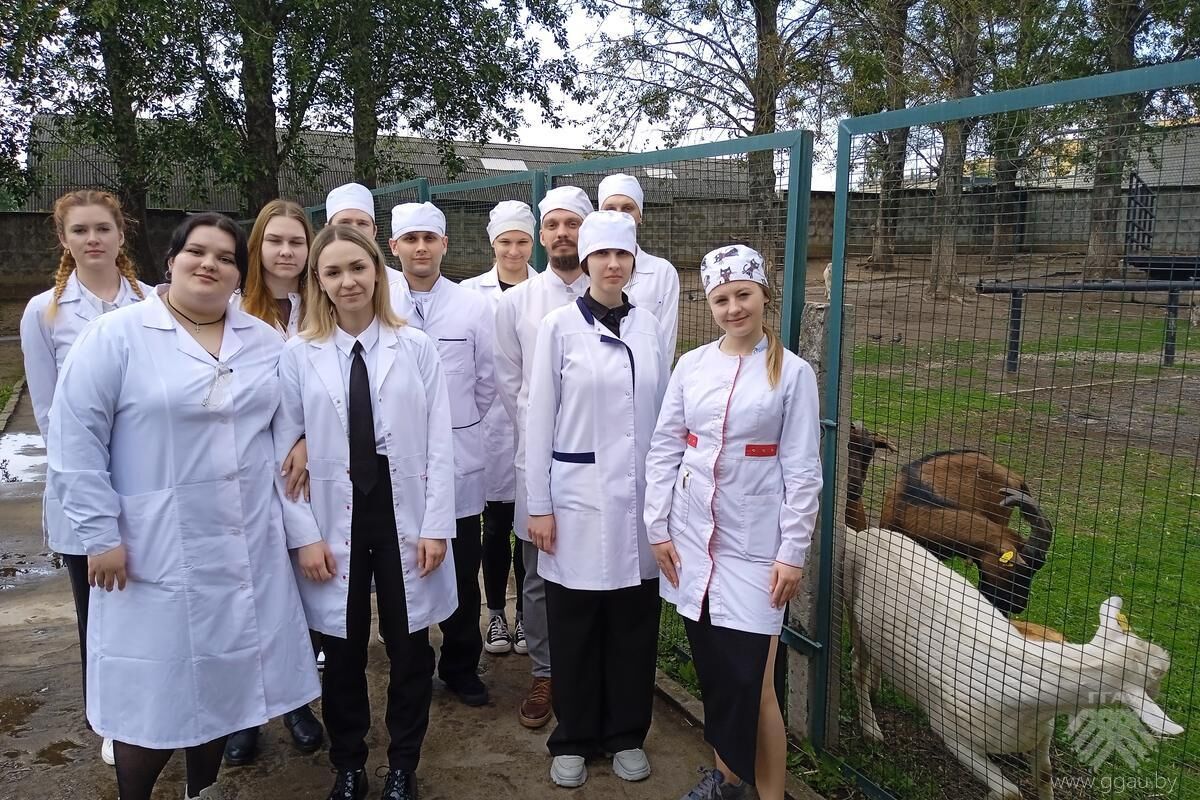 На факультете ветеринарной медицины началась пора сдачи государственных экзаменов